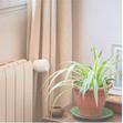 Radiateur avec plante